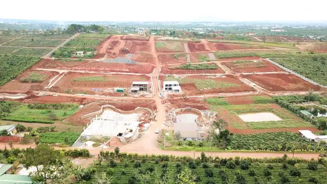 Thủ tướng yêu cầu xử nghiêm tình trạng phân lô bán nền, lấn chiếm đất rừng trái pháp luật