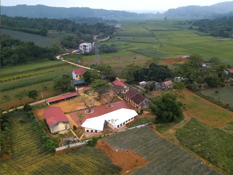 Trường Tiểu học Thanh Tân