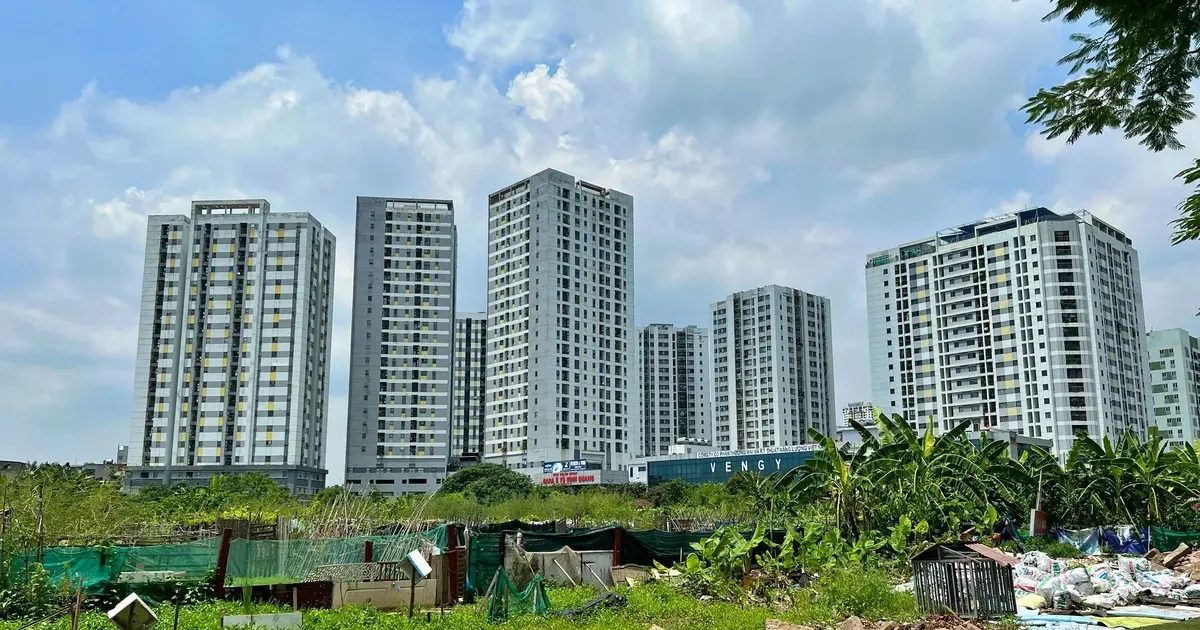 Thu hồi 7 ô đất bỏ hoang để xây dựng trường công lập
