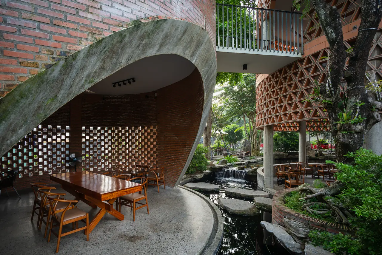 Nấm Coffee