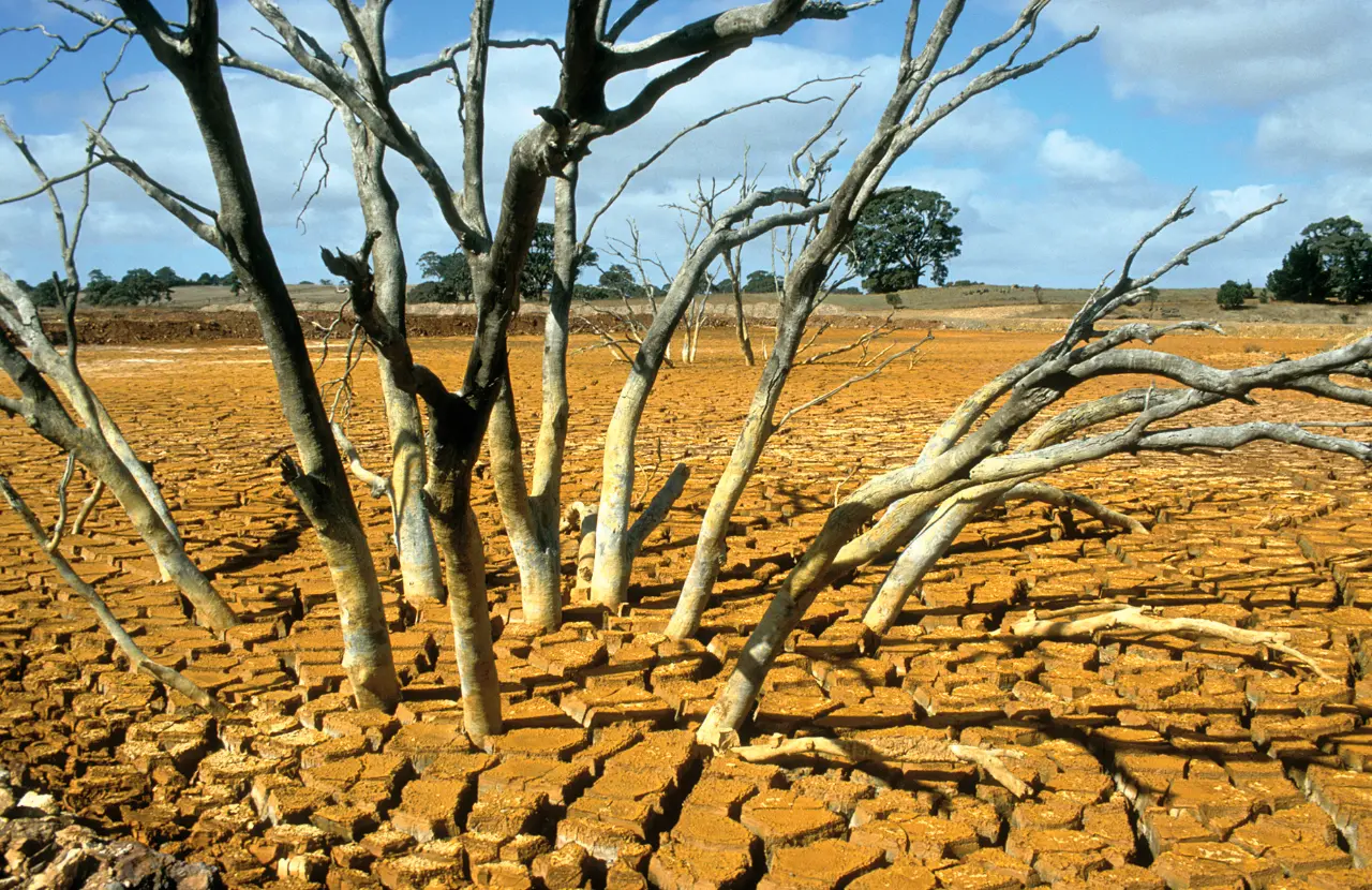 Chiến lược ứng phó El Niño ở Việt Nam