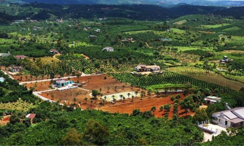 Lâm Đồng: Ủy quyền cho các huyện, thành phố quyết định giá đất