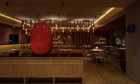 Nhà hàng Sushi Tanuki – Archpoint Bureau