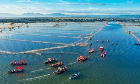 Thừa Thiên – Huế: Xây cây cầu 1.000 tỷ đồng vượt phá Tam Giang