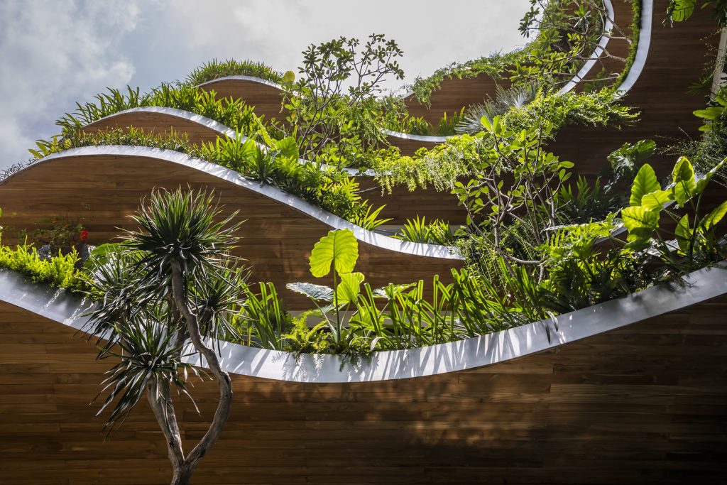 Căn hộ City Oasis