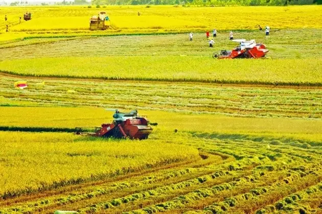 Sóc Trăng: Phát triển ngành nông nghiệp theo hướng xanh, bền vững