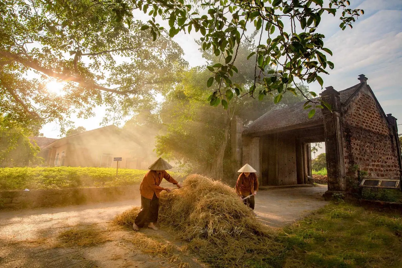 Giải pháp nào cho phát triển quy hoạch kiến trúc nông thôn Hà Nội?