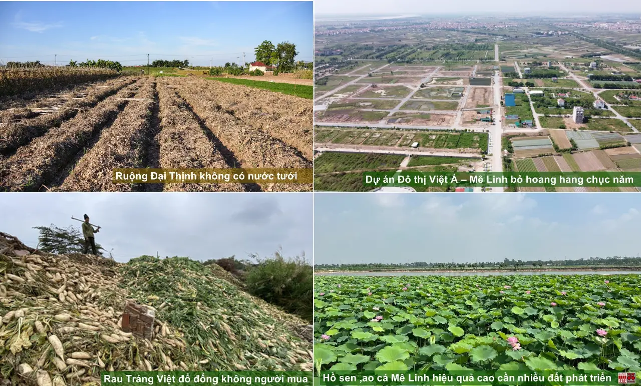 Đóng góp cho “Phương án phát triển khu vực nông thôn” trong Báo cáo Quy hoạch Thủ đô