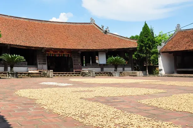 Vai trò của kiến trúc trong việc thúc đẩy phát triển du lịch nông thôn