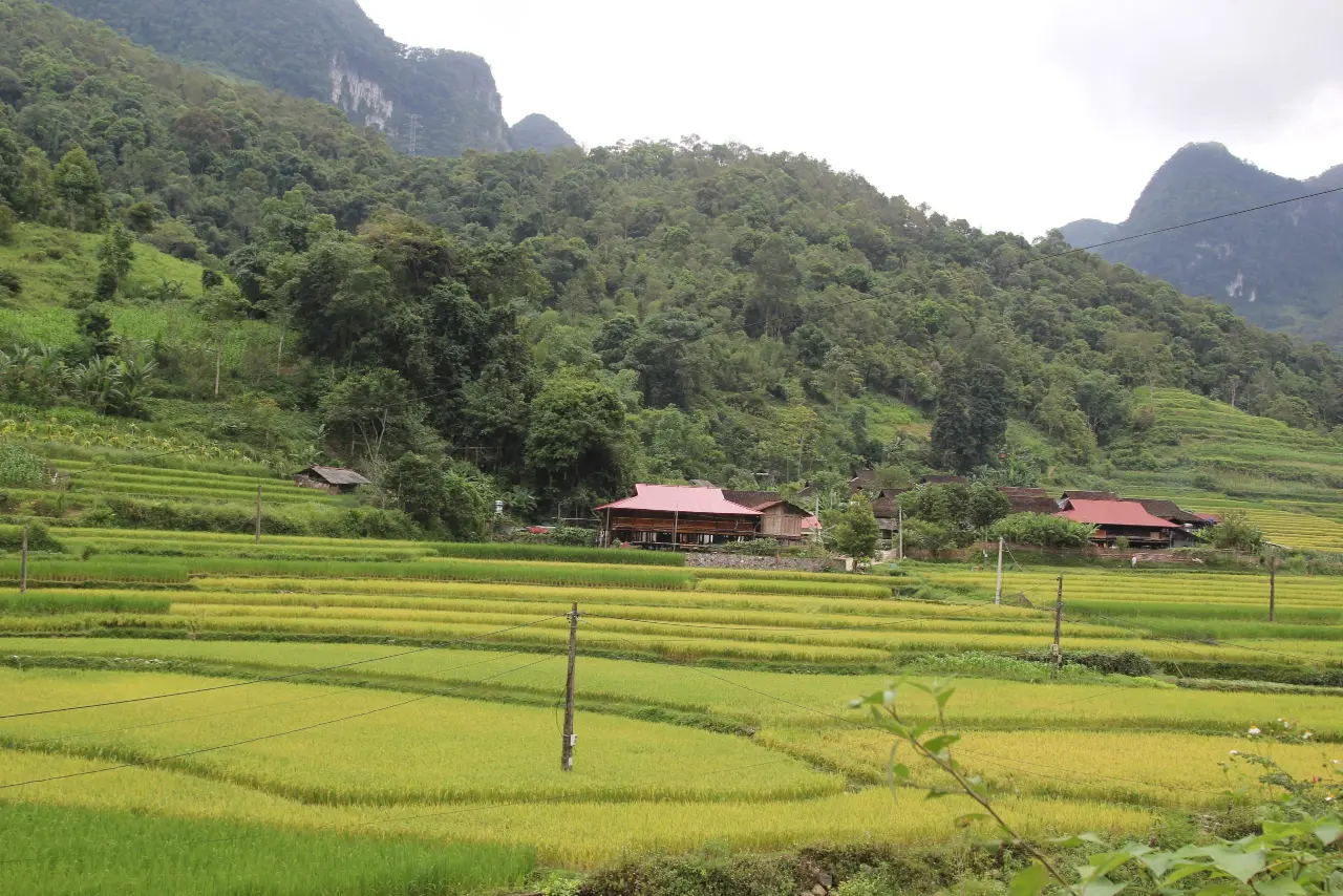 Phát triển du lịch nông thôn gắn với xây dựng Nông thôn mới – Lợi ích kép