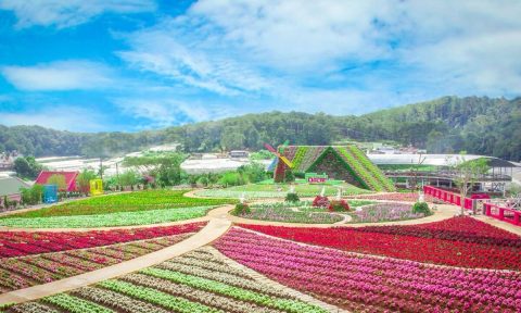 Chiến lược phát triển nông thôn bền vững từ du lịch canh nông tại Lâm Đồng