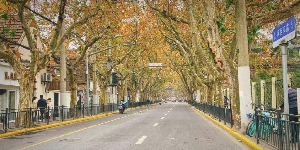 Kinh nghiệm từ Thượng Hải – thành phố lớn nhất tại Trung Quốc về quản lý phát triển và tổ chức thực hiện Quy hoạch chung (Phần 1)