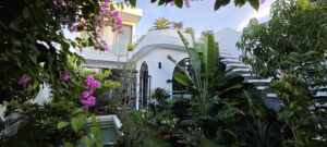 Nhà phố – villa Phú Yên