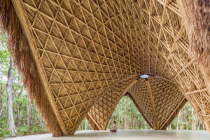 Công nghệ bản địa là gì?