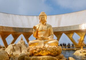 Chuyện ít biết về cây sung cổ bên tượng Phật Câu Na Hàm Mâu Ni trên núi Bà Đen