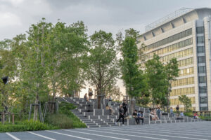 Các tổ chức tư nhân định hình sức khỏe và khả năng tiếp cận cộng đồng đô thị như thế nào?